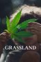 grassland-2025